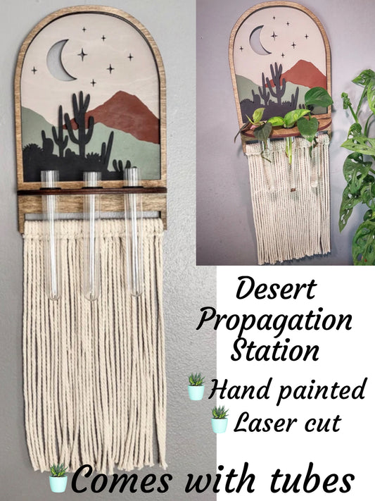 Desert Propagation Station for plants-